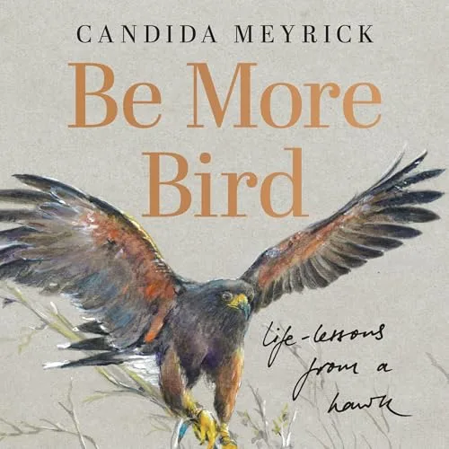 Be More Bird: Life Lessons from a Hawk By Candida Meyrick